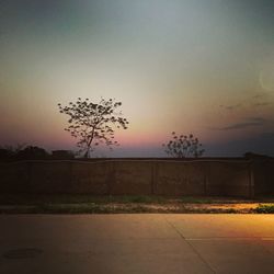 Silhouette tree against sky during sunset