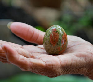 Close-up of hand holding fruit