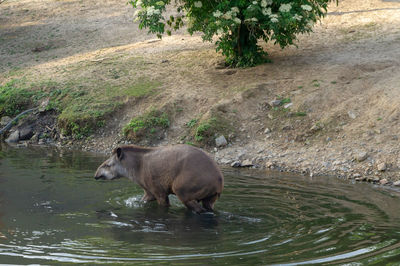 High angle view of a drinking water