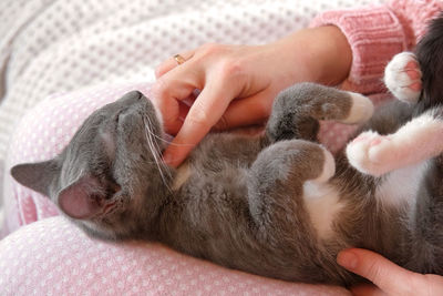 Cropped image of woman lying on bed at home