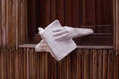 Close-up of clothes drying on wood