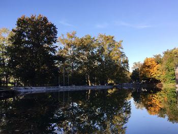 Reflection of trees in calm lake against blue sky