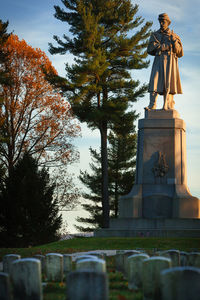 Low angle view of statue against trees