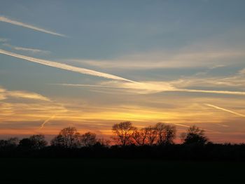 Silhouette trees on field against sky at sunset