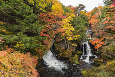 Scenic view of waterfall in forest during autumn