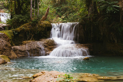 Scenic view of waterfall in forest