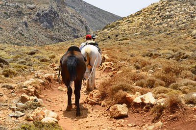 Rear view of horse riding