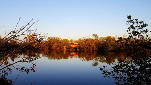 Reflection of trees in lake against clear sky