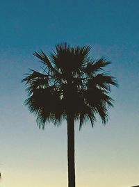 Low angle view of silhouette palm tree against clear sky