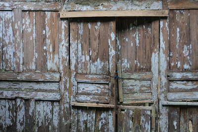Closed wooden door, vintage door, old door as background