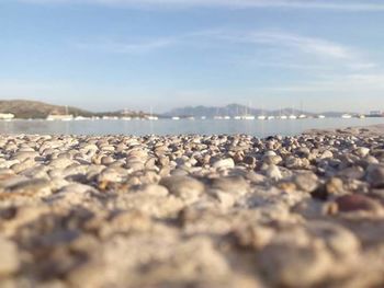 Surface level of beach against sky