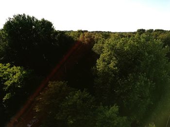 Scenic view of landscape against clear sky