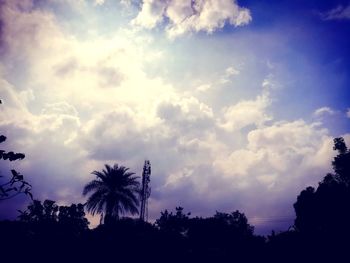 Low angle view of silhouette trees against sky