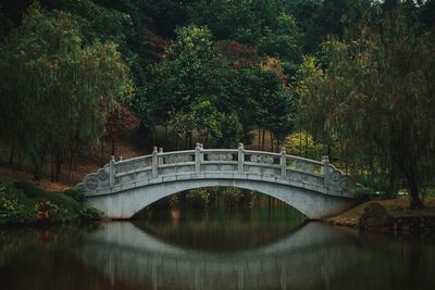 Arch bridge over river amidst trees