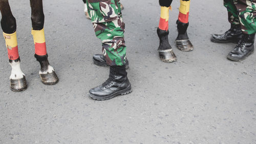 Low section army soldiers standing with horses on road