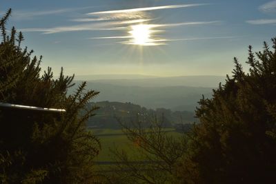 Scenic view of trees against sky