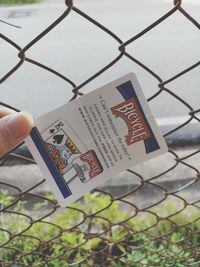 Close-up of hand holding chainlink fence