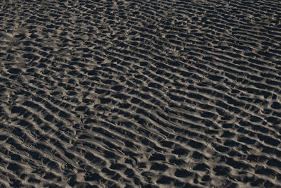 High angle view of footprints on sand at beach