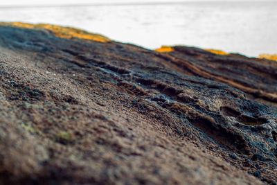 Close-up of rock on beach