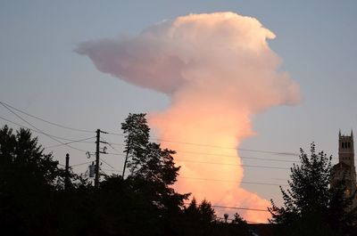 Low angle view of silhouette trees against sky during sunset