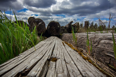 Surface level of boardwalk on field against sky