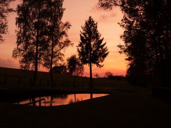 Silhouette trees against sky during sunset