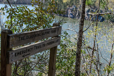 Low angle view of information sign against trees