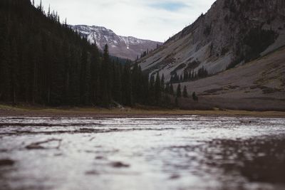 Scenic view of snow covered mountains