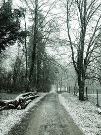 Road amidst bare trees during winter