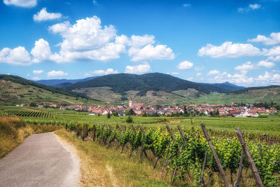 The view of ammerschwihr and famous grand cru vine yards of alsace. taken in alsace region, france
