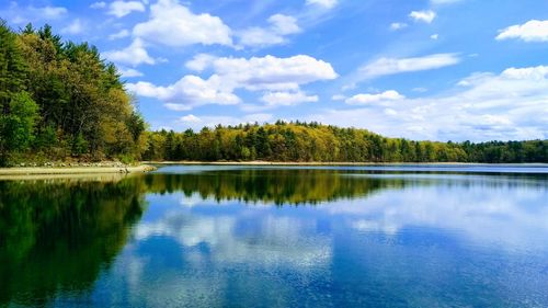 Lake reflection with woods and clouds