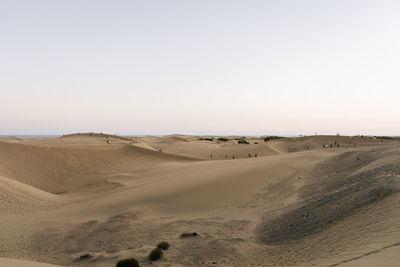 Scenic view of desert against clear sky