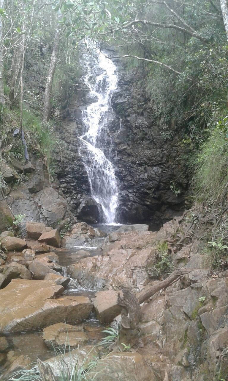 WATERFALL IN FOREST