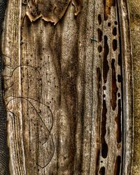 Full frame shot of floral pattern