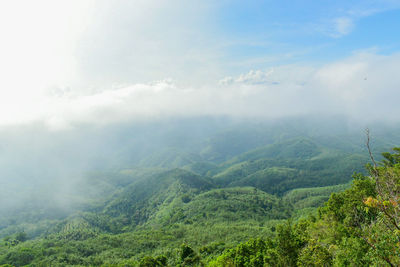 Scenic view of green landscape against sky