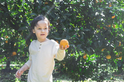 The boy stands among the trees in the garden and holds ripe oranges in his hands.