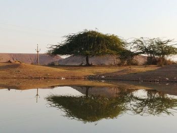 Trees on landscape against clear sky