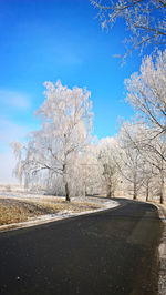 Road amidst bare trees against blue sky