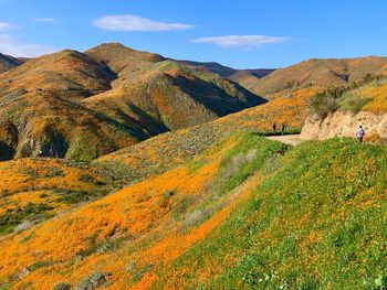 Scenic view of landscape against sky during autumn