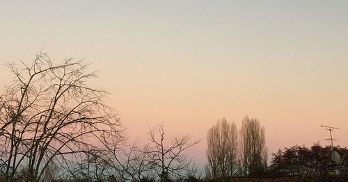 Low angle view of silhouette trees against clear sky