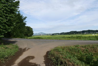 Road by trees against sky