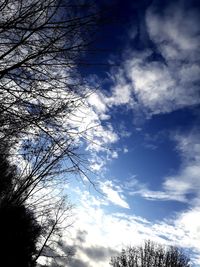 Low angle view of bare tree against sky