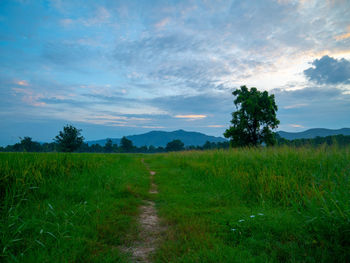 Scenic view of field against sky