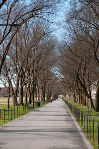 Footpath amidst bare trees in park