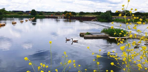 Scenic view of lake against sky