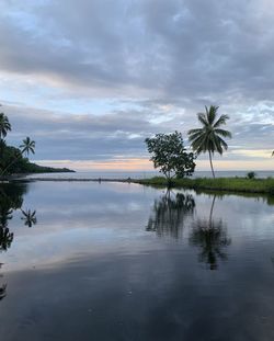 Scenic view of palm trees by lake against sky