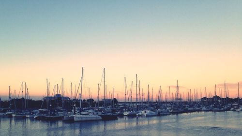 Sailboats in sea at sunset