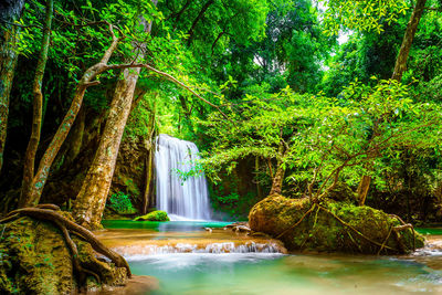 Scenic view of waterfall in forest