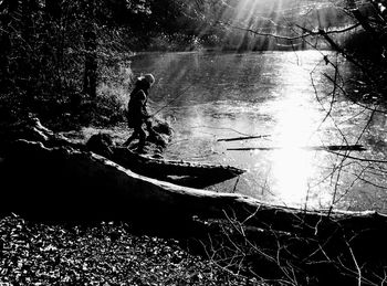 Silhouette man by tree against bright sun