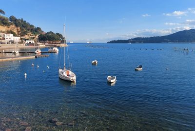 Boats in sea